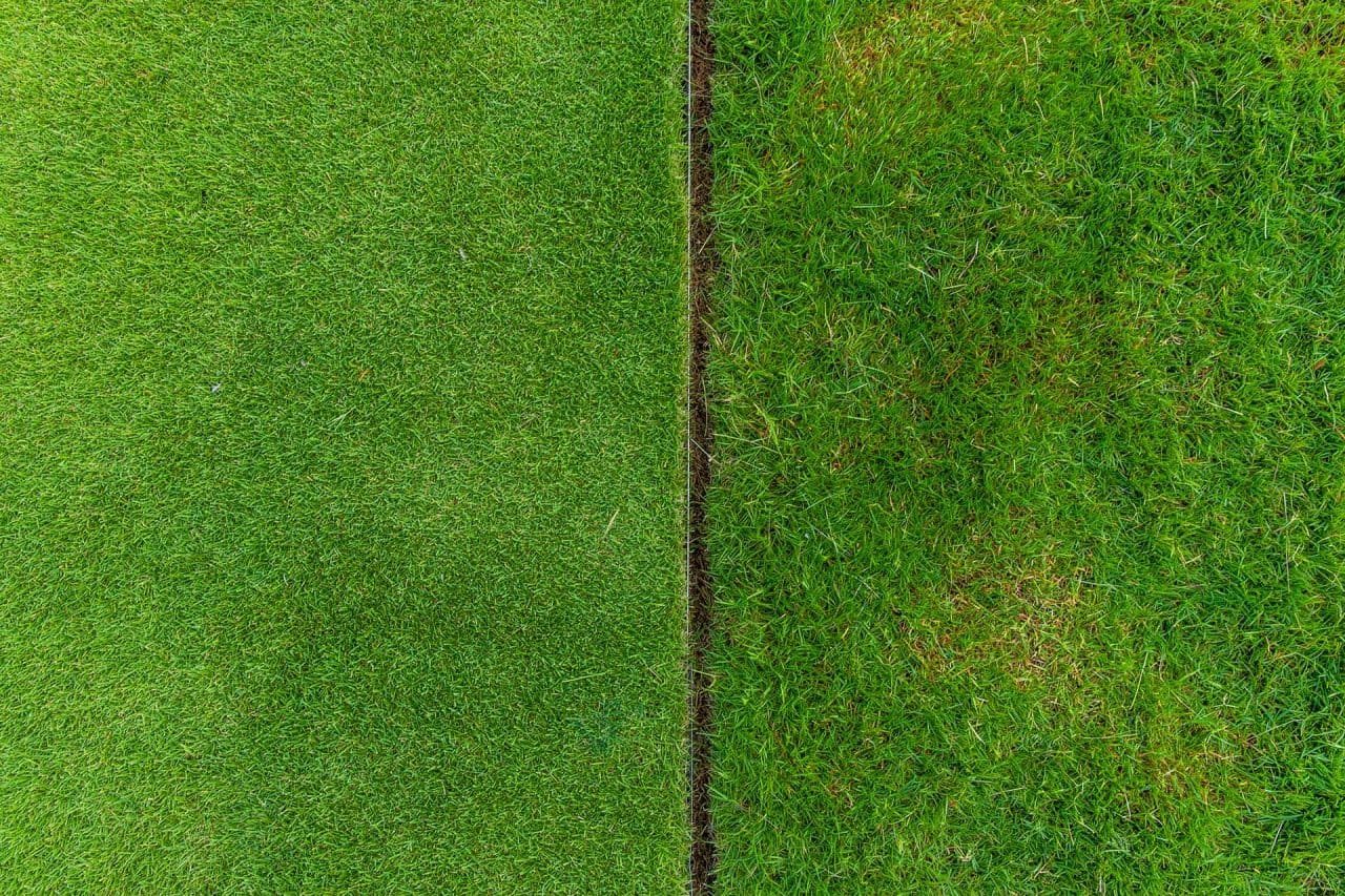 Two types of green grass side by side in an overhead view with a gap in between.